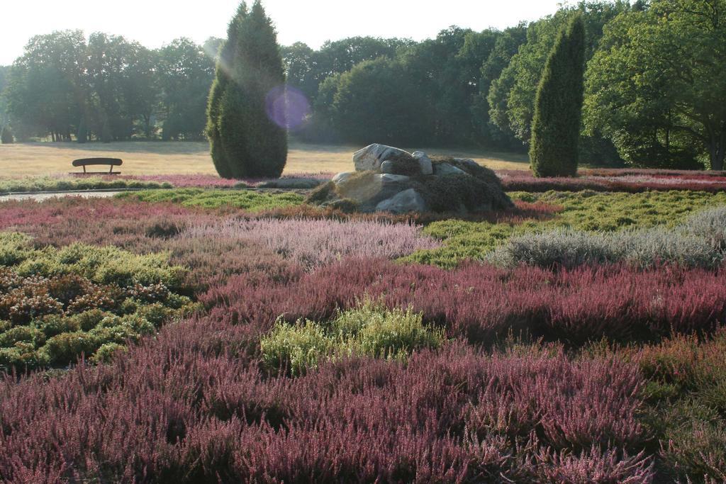 Ferienwohnung Lueneburger Heide Шнефердинген Экстерьер фото