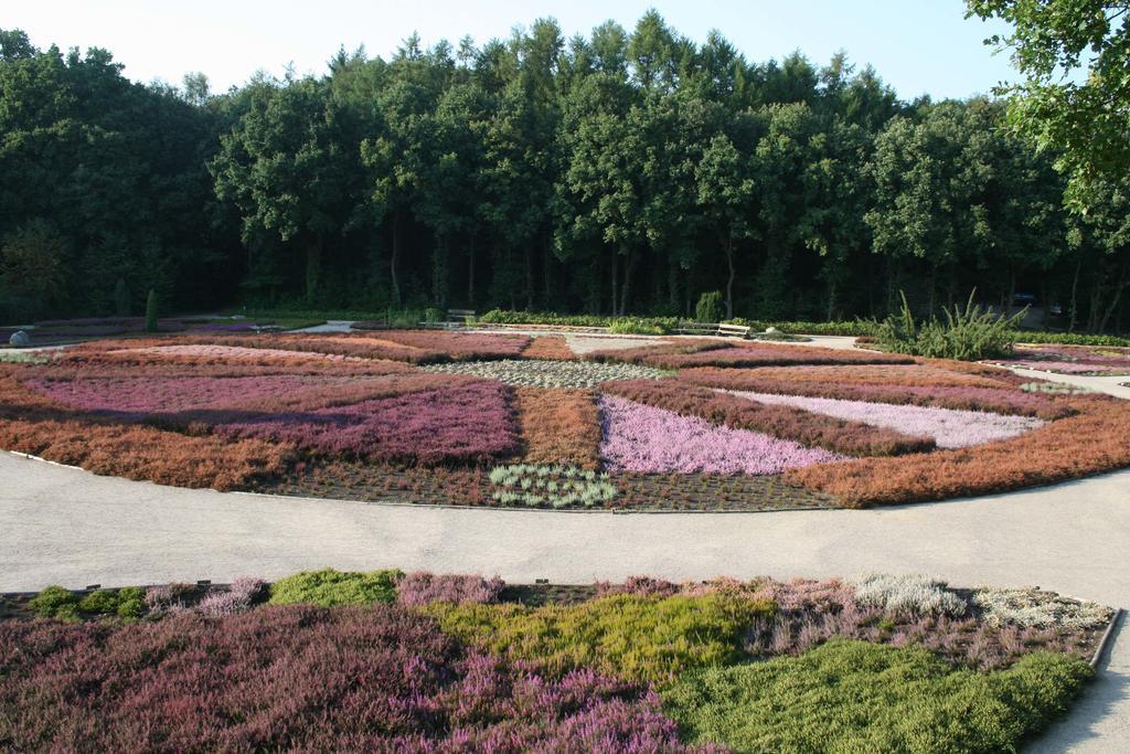 Ferienwohnung Lueneburger Heide Шнефердинген Экстерьер фото